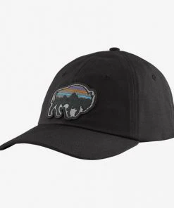 Patagonia Back For Good Trad Cap - Spring 2022
